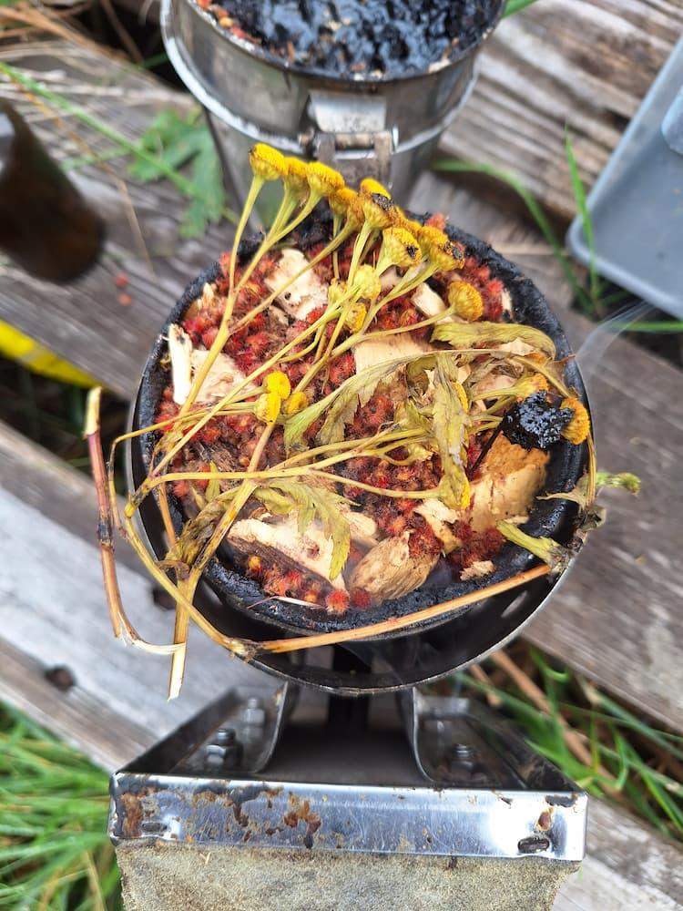 naturalne środki przeciwko warrozie