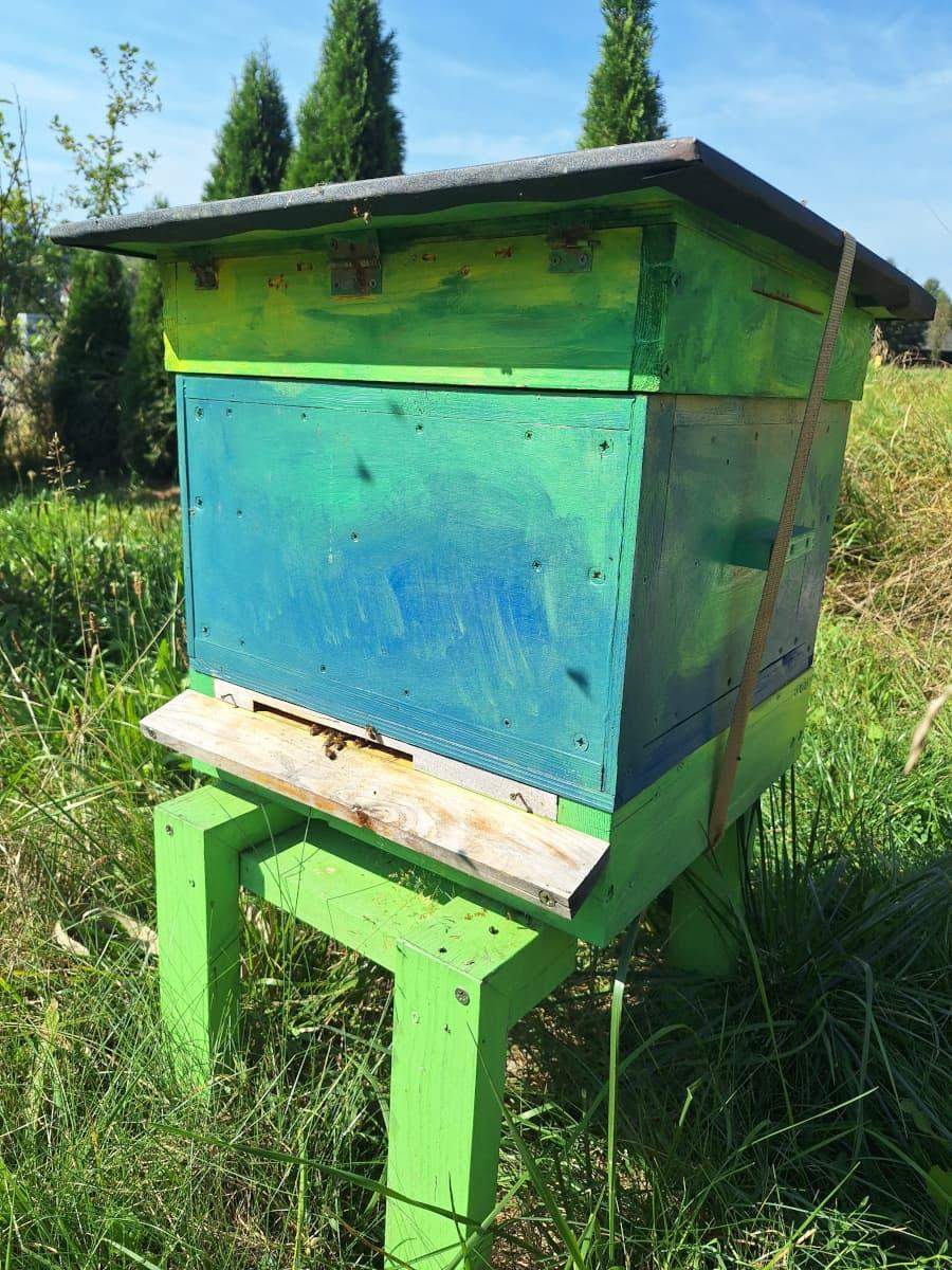 tradycyjne ule drewniane